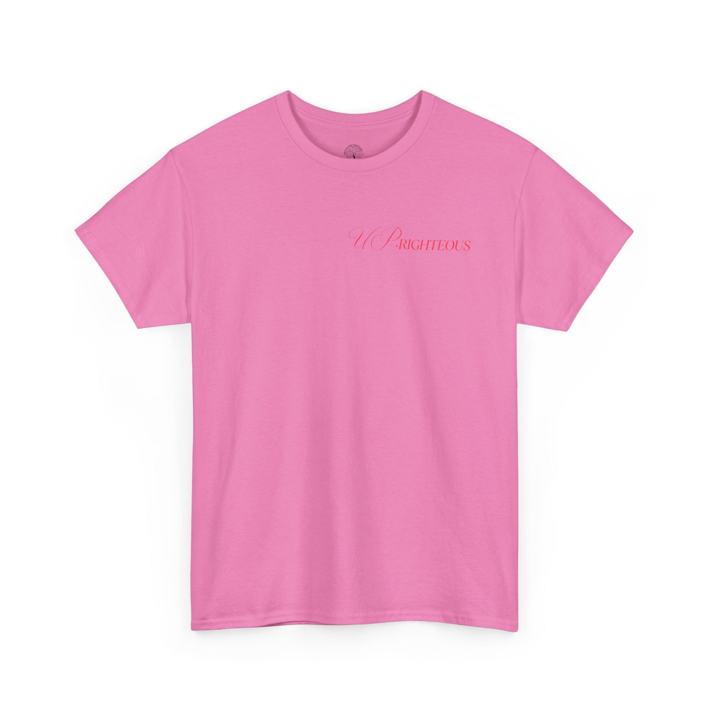 Faith-Inspired Gym Tee, Motivational T-Shirt, Unisex Activewear, Inspirational Fitness Shirt, Casual Everyday Wear