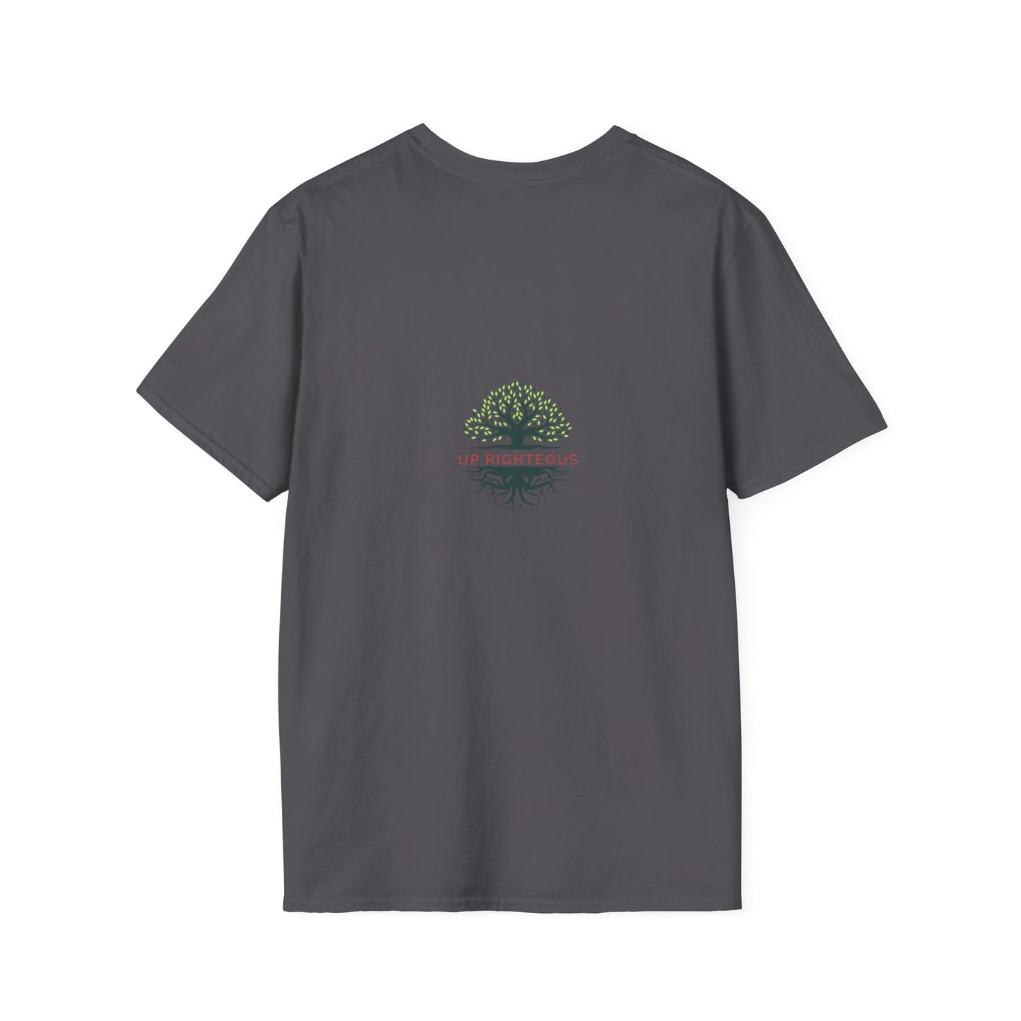 Ecclesiastes Inspirational T-Shirt | Unisex Softstyle Tee, Motivational Shirt, Faith Apparel, Nature Lover Gift, Bible Verse Tee