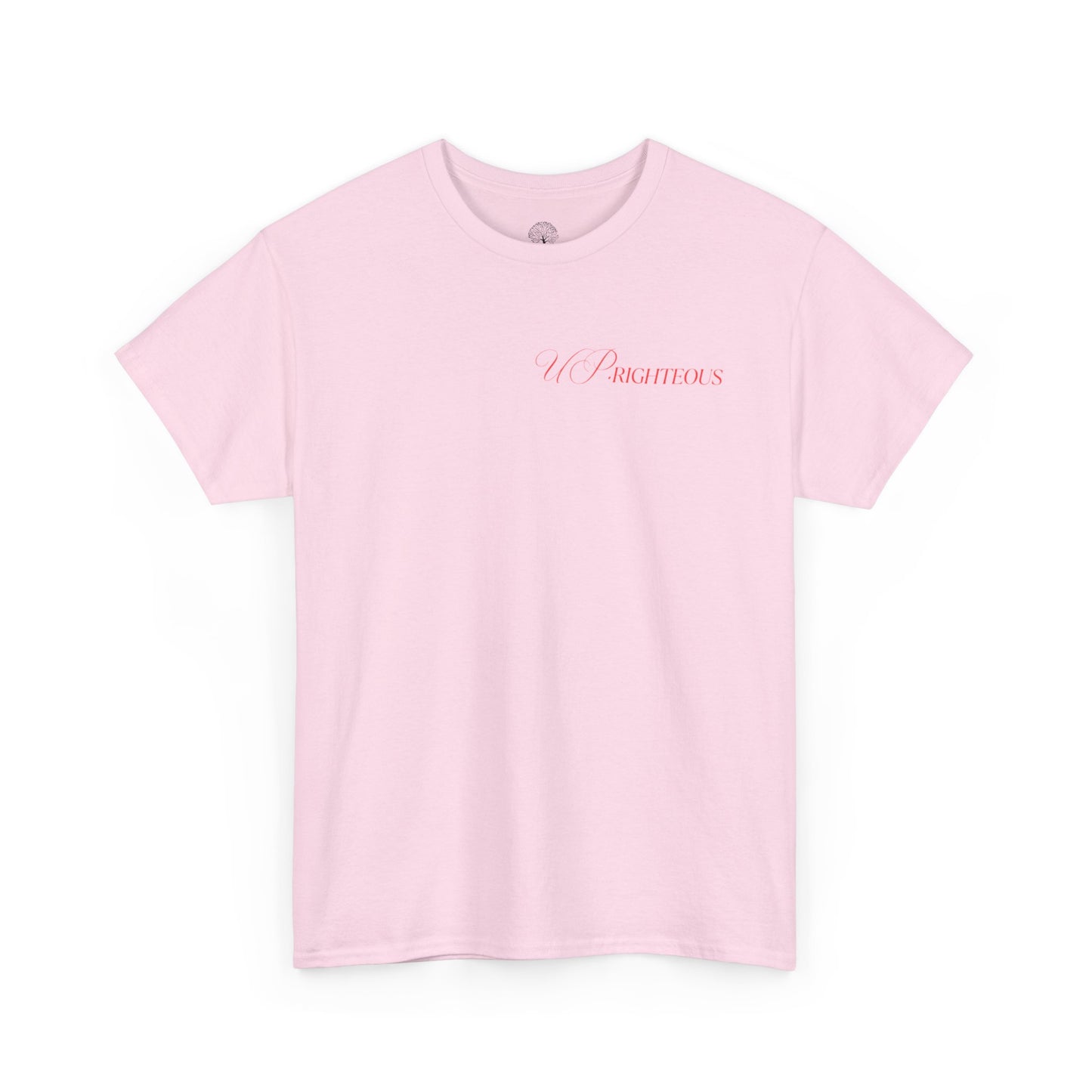 Faith-Inspired Gym Tee, Motivational T-Shirt, Unisex Activewear, Inspirational Fitness Shirt, Casual Everyday Wear