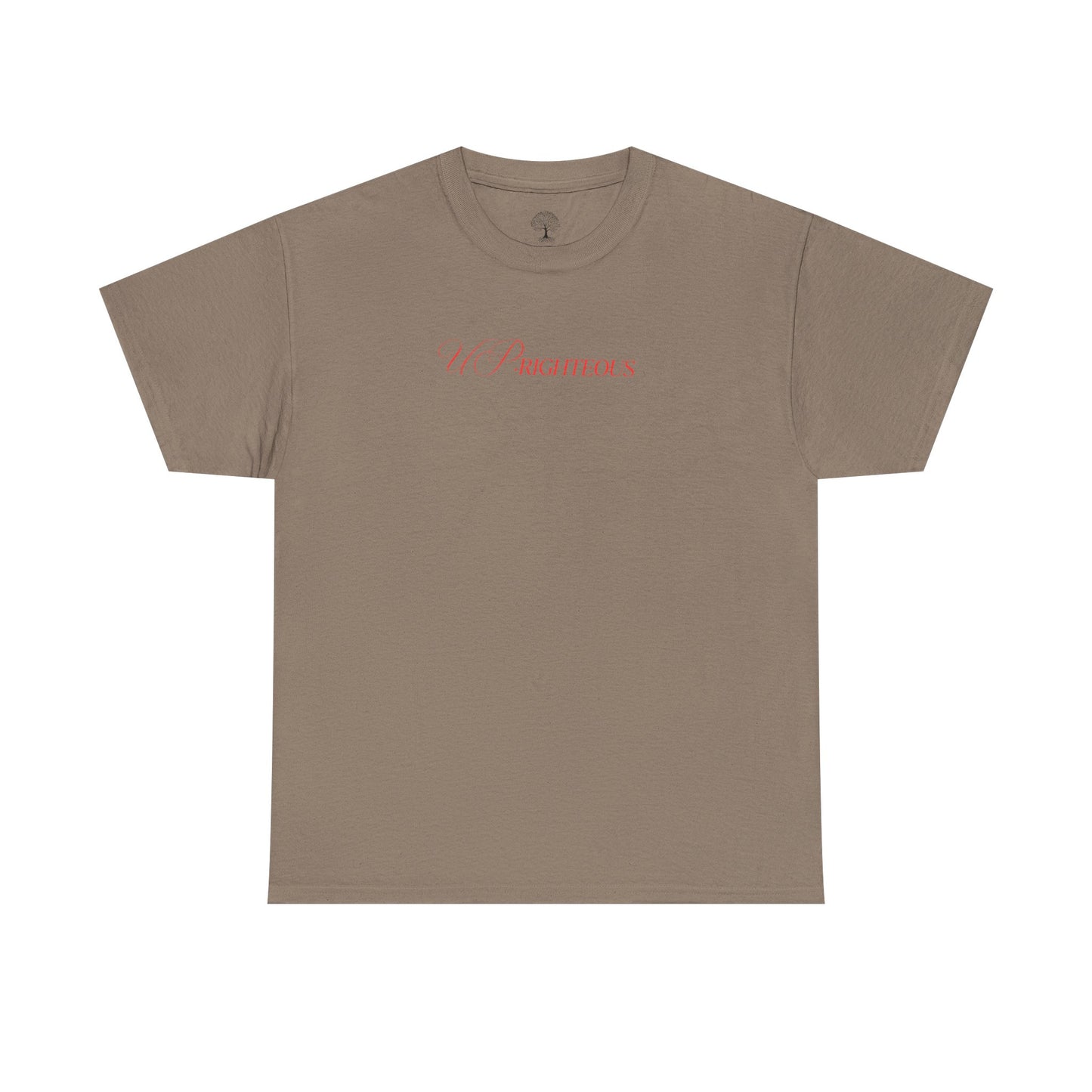 Inspirational Unisex Heavy Cotton Tee - 'Fear Not for I Am With You'