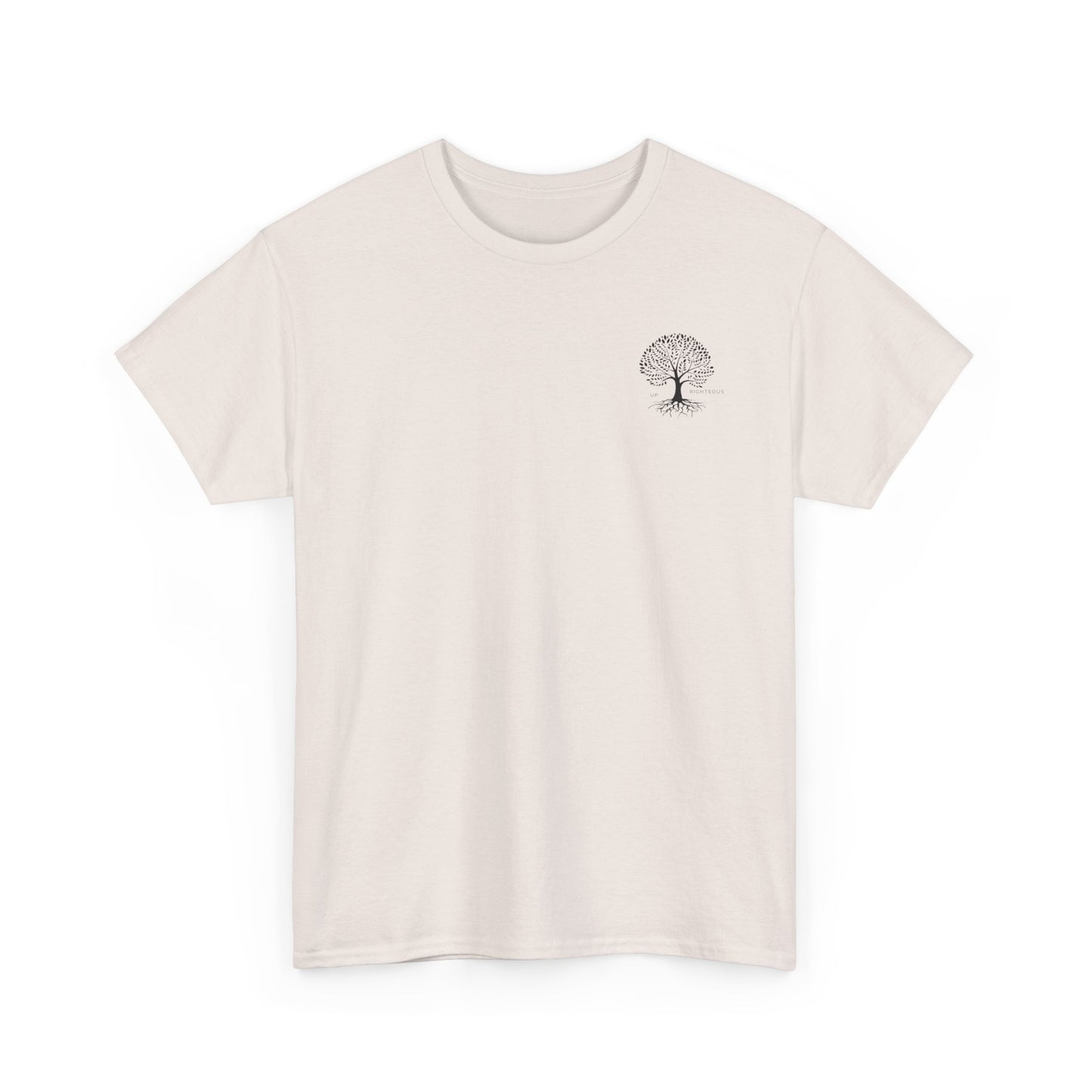 Blessed and Highly Favored Unisex Tee, Comfort Cotton T-Shirt, Gift for Him/Her, Faith-Inspired Apparel, Everyday Wear, Casual Style