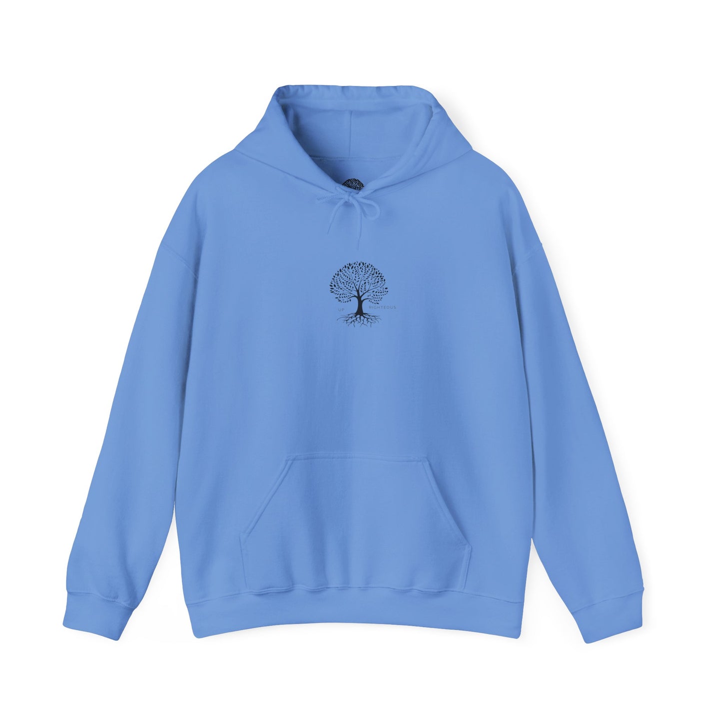 Inspirational Faith Hooded Sweatshirt, Motivational Hoodie, Cozy Sweatshirt, Gift for Believers, Spiritual Clothing