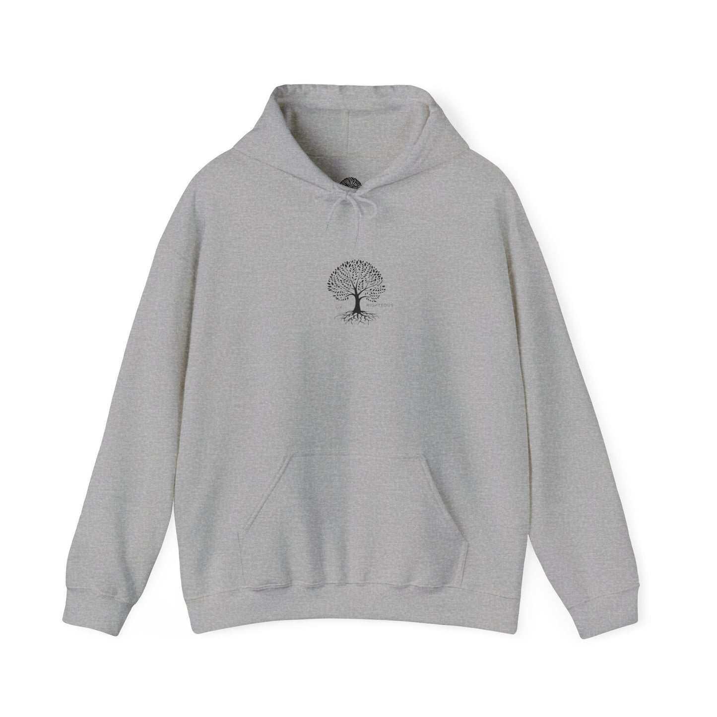 Inspirational Faith Hooded Sweatshirt, Motivational Hoodie, Cozy Sweatshirt, Gift for Believers, Spiritual Clothing