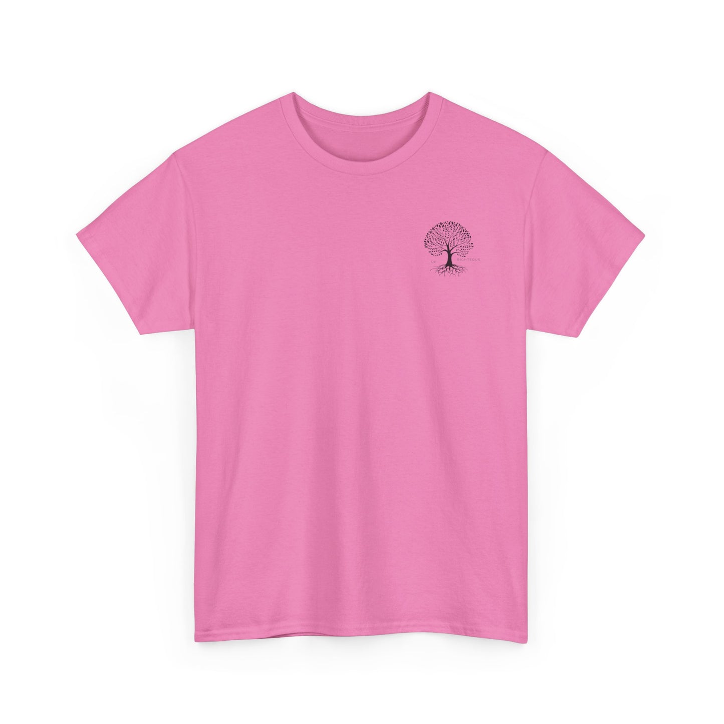 Blessed and Highly Favored Unisex Tee, Comfort Cotton T-Shirt, Gift for Him/Her, Faith-Inspired Apparel, Everyday Wear, Casual Style