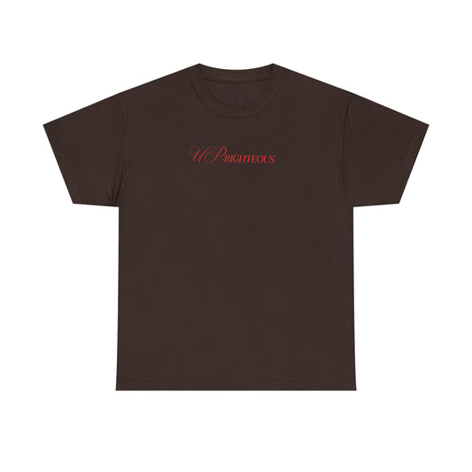 Inspirational Unisex Heavy Cotton Tee - 'Fear Not for I Am With You'