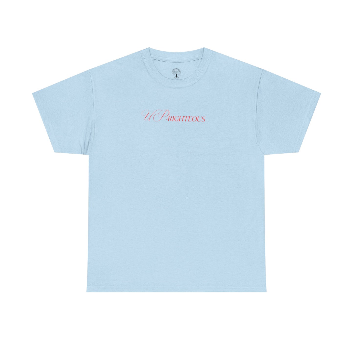 Inspirational Unisex Heavy Cotton Tee - 'Fear Not for I Am With You'