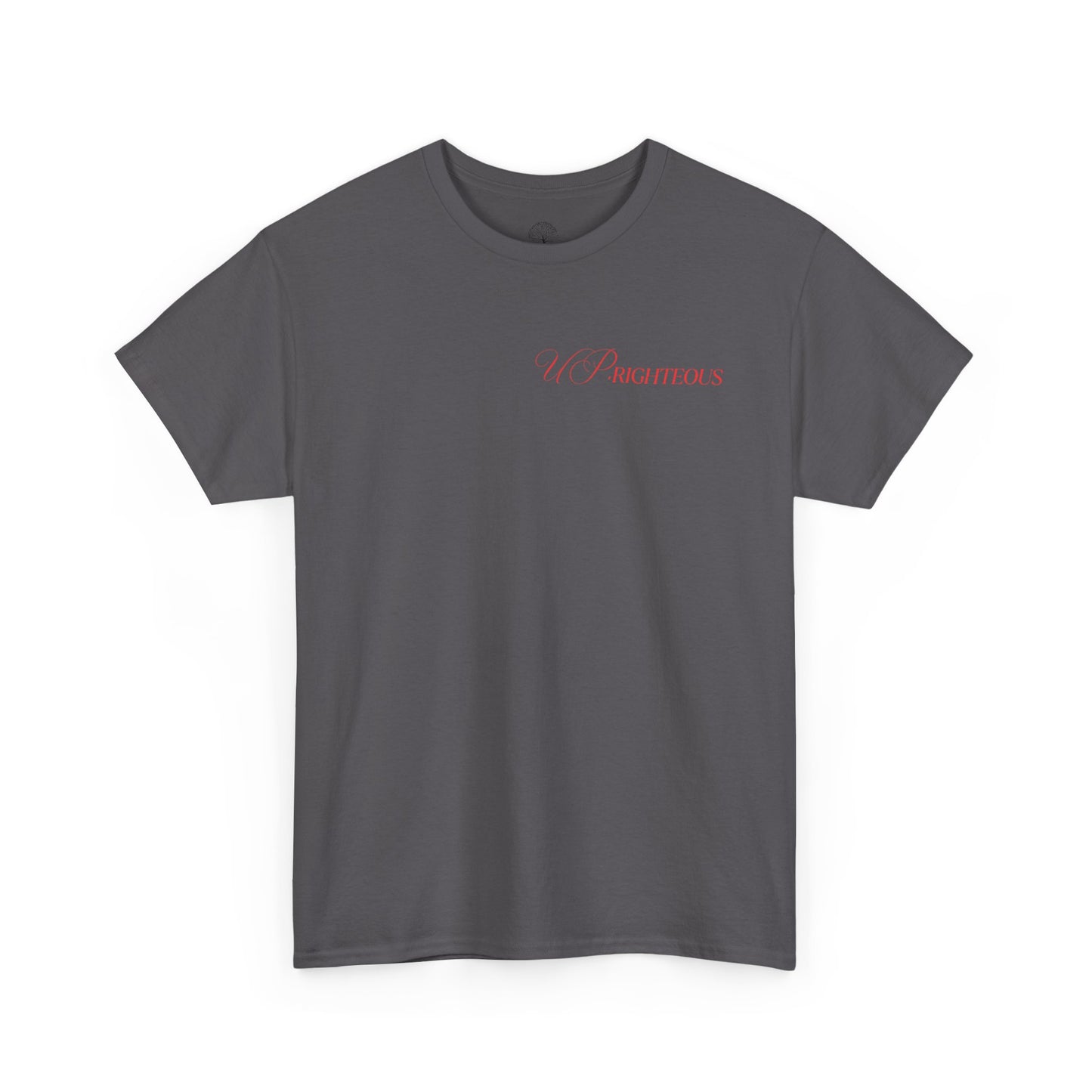 Faith-Inspired Gym Tee, Motivational T-Shirt, Unisex Activewear, Inspirational Fitness Shirt, Casual Everyday Wear