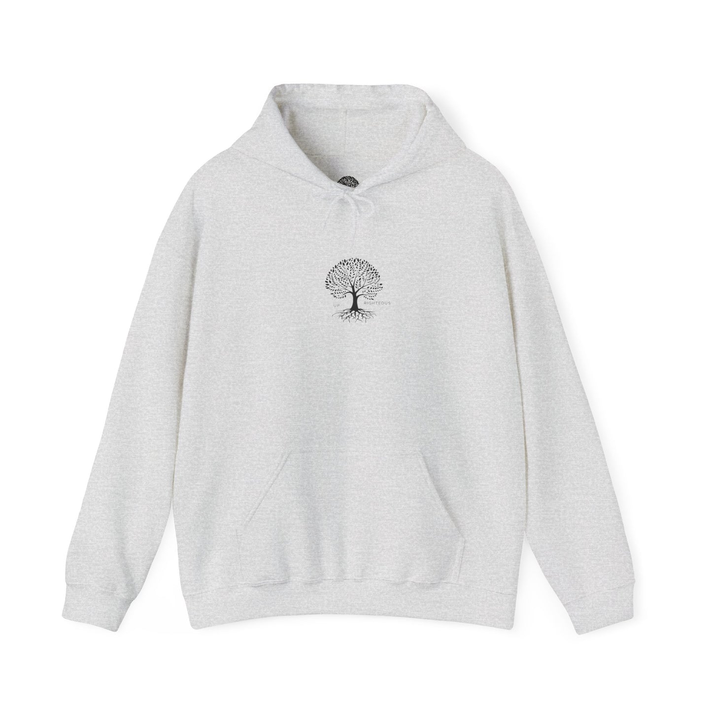 Inspirational Faith Hooded Sweatshirt, Motivational Hoodie, Cozy Sweatshirt, Gift for Believers, Spiritual Clothing
