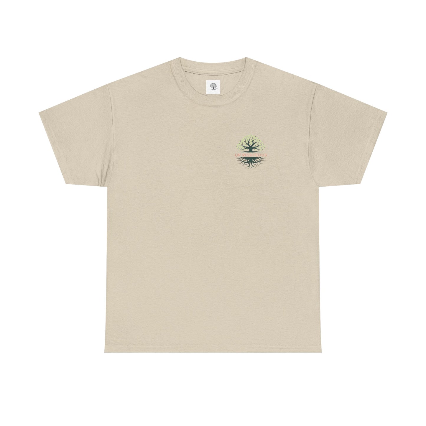 Inspirational Unisex Heavy Cotton Tee - "I Can Do All Things"