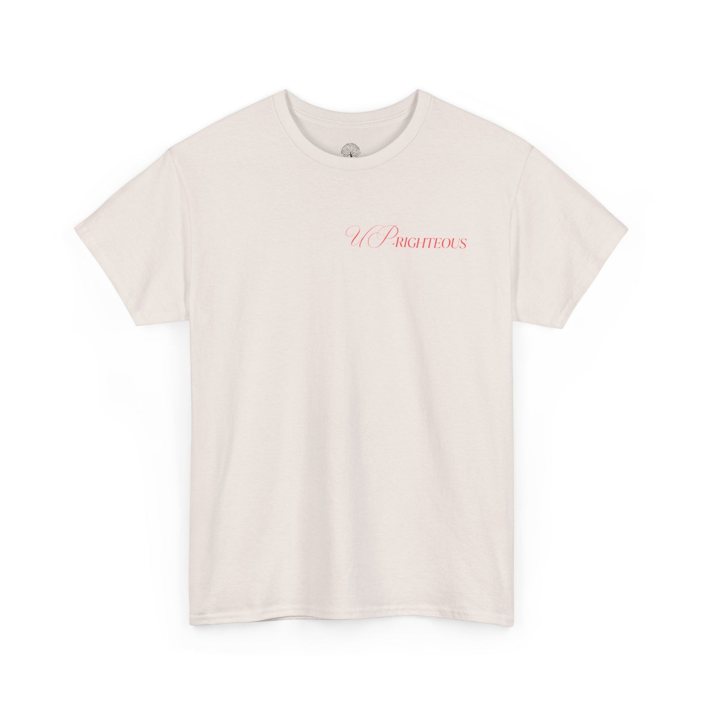 Faith-Inspired Gym Tee, Motivational T-Shirt, Unisex Activewear, Inspirational Fitness Shirt, Casual Everyday Wear