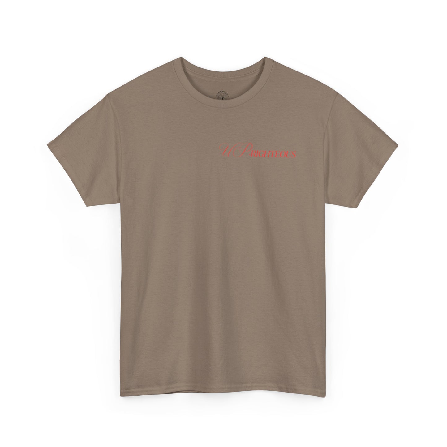 Faith-Inspired Gym Tee, Motivational T-Shirt, Unisex Activewear, Inspirational Fitness Shirt, Casual Everyday Wear
