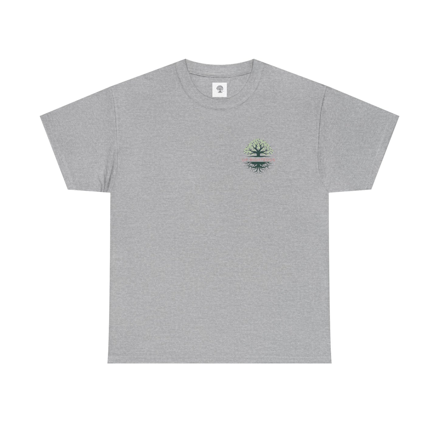 Inspirational Unisex Heavy Cotton Tee - "I Can Do All Things"