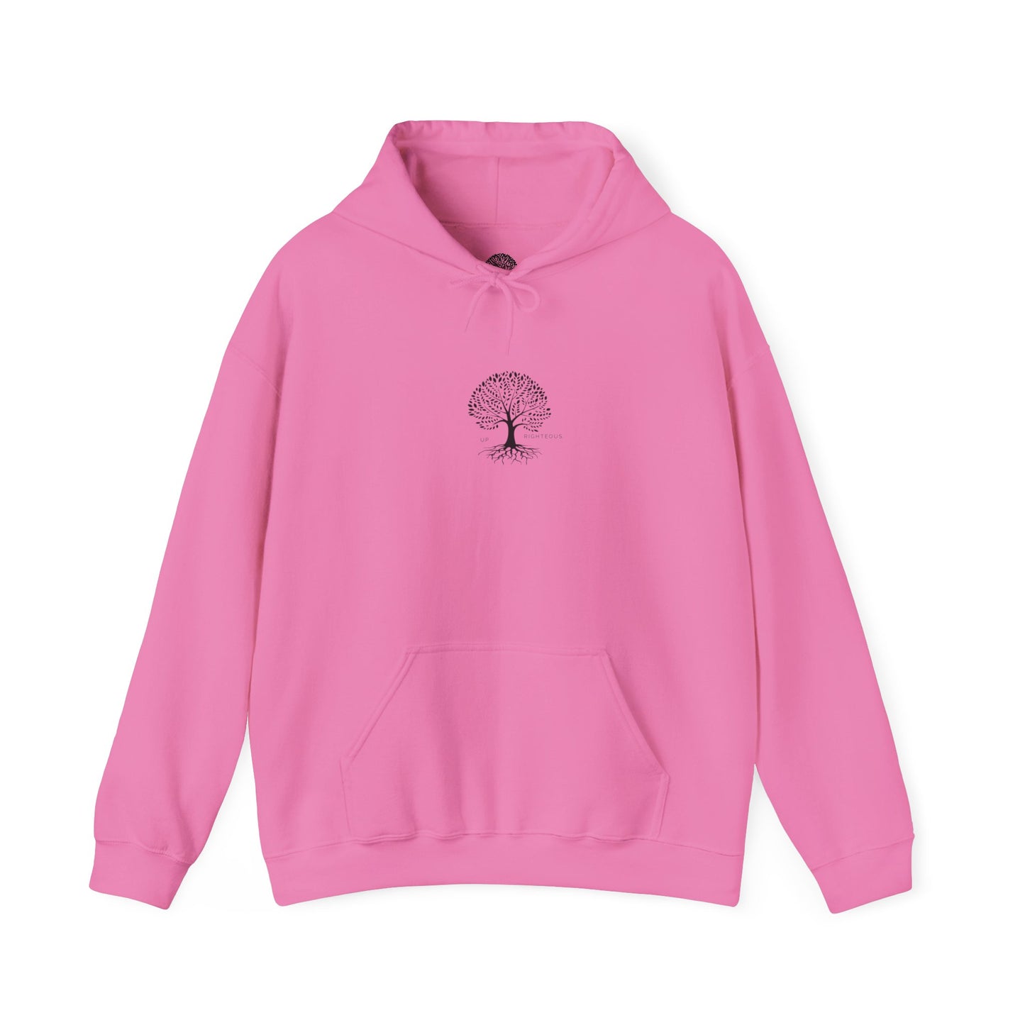 Inspirational Faith Hooded Sweatshirt, Motivational Hoodie, Cozy Sweatshirt, Gift for Believers, Spiritual Clothing