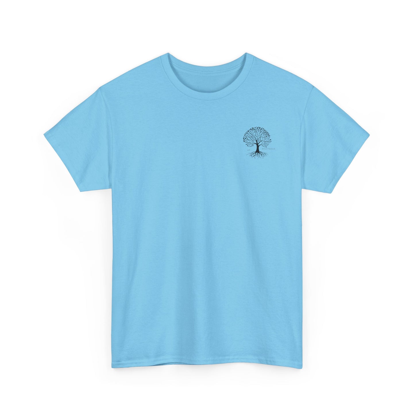 Blessed and Highly Favored Unisex Tee, Comfort Cotton T-Shirt, Gift for Him/Her, Faith-Inspired Apparel, Everyday Wear, Casual Style